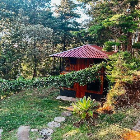 Cabanas Queca! Poas Kültér fotó